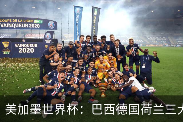 美加墨世界杯：巴西德国荷兰三大豪门将出战