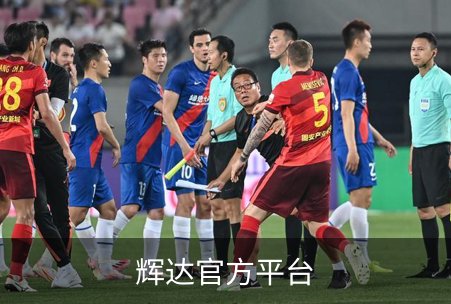 辉达官方平台概况