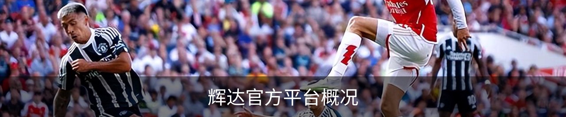 辉达官方平台概况